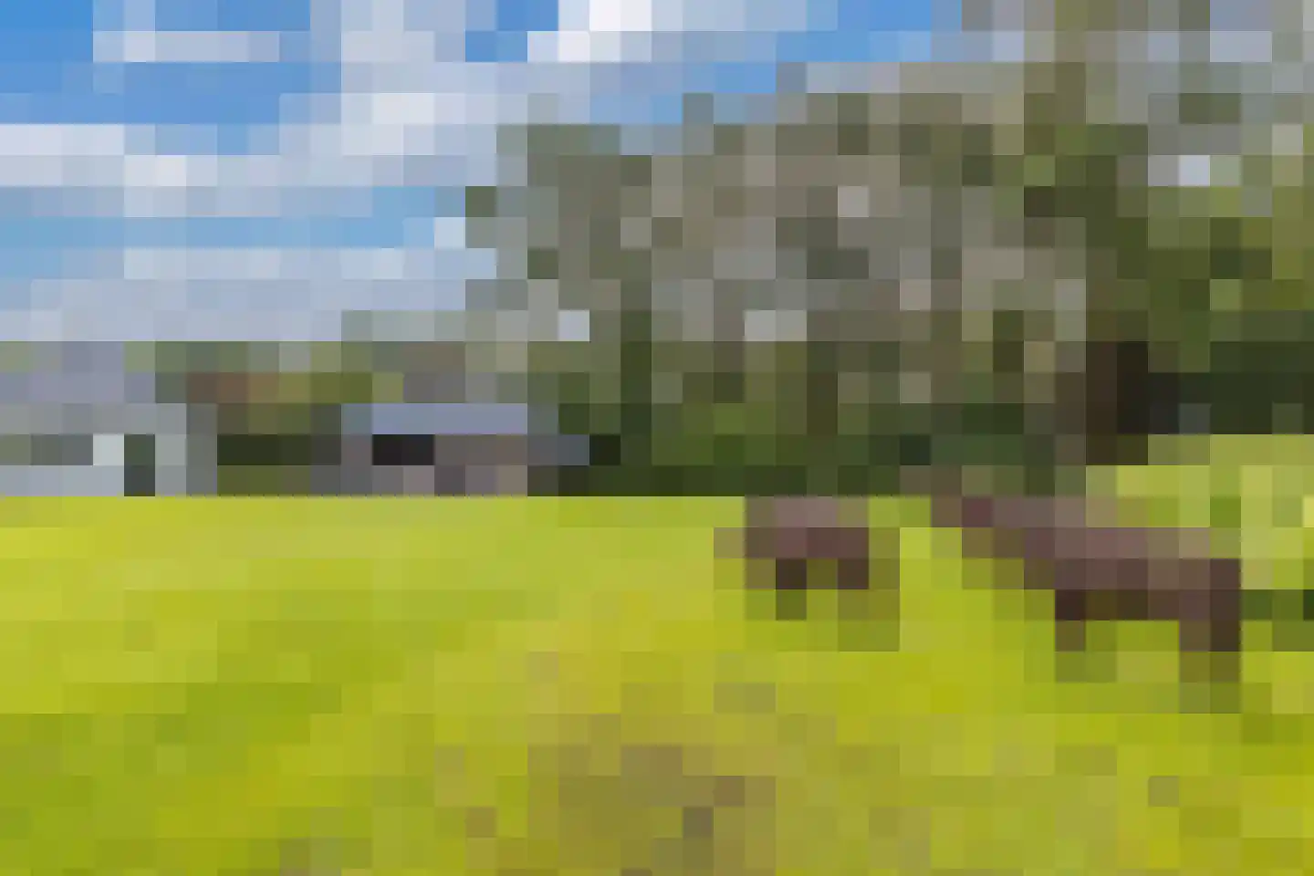 Luttenbergerweg 15 b Luttenberg thumbnail 55