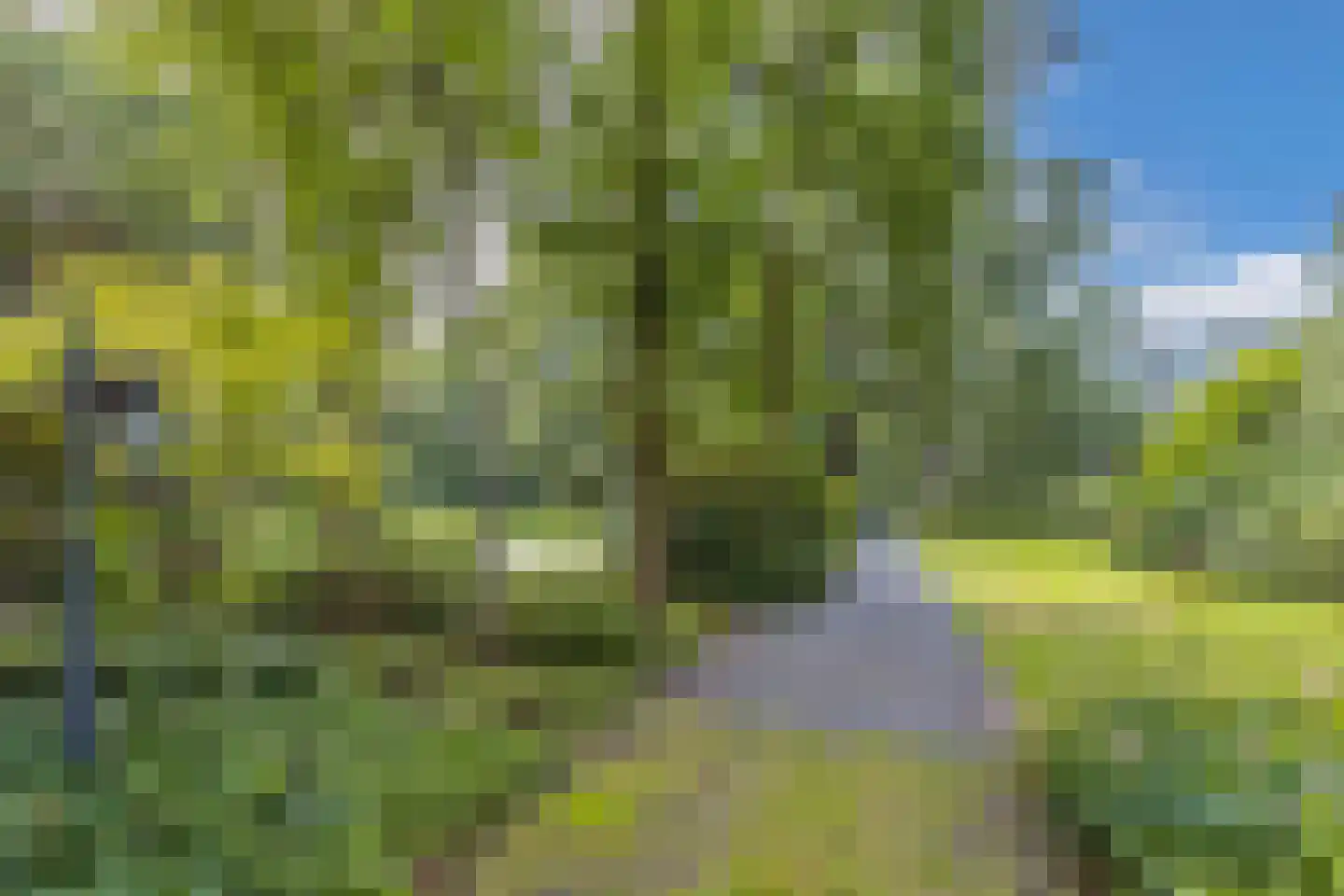 Luttenbergerweg 15 b Luttenberg thumbnail 58