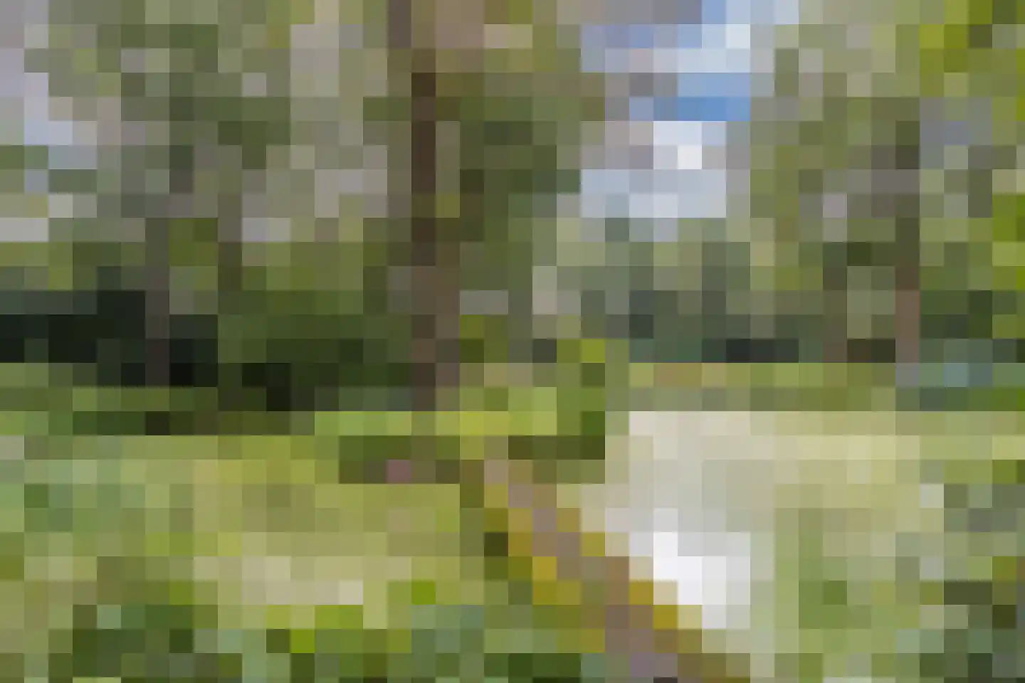 Luttenbergerweg 15 b Luttenberg thumbnail 59