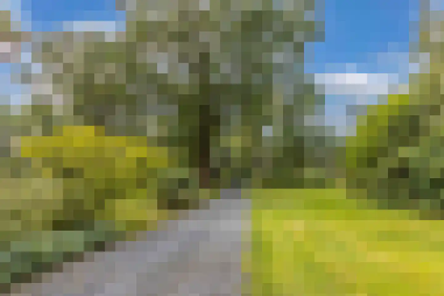 Luttenbergerweg 15 b Luttenberg thumbnail 60