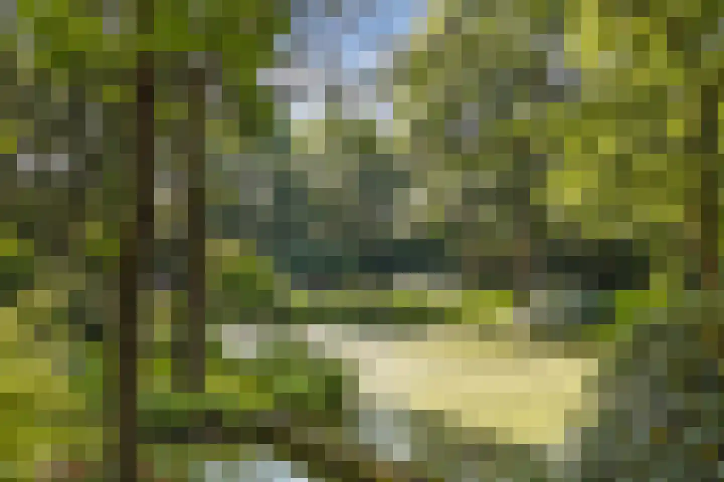 Luttenbergerweg 15 b Luttenberg thumbnail 67