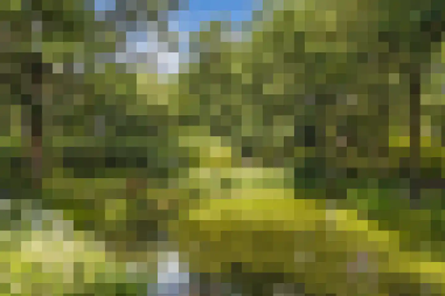 Luttenbergerweg 15 b Luttenberg thumbnail 68