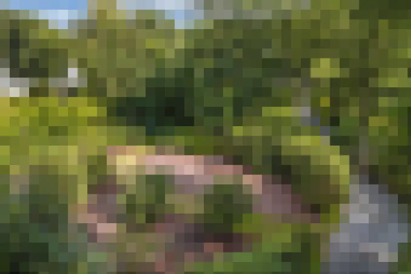 Luttenbergerweg 15 b Luttenberg thumbnail 69
