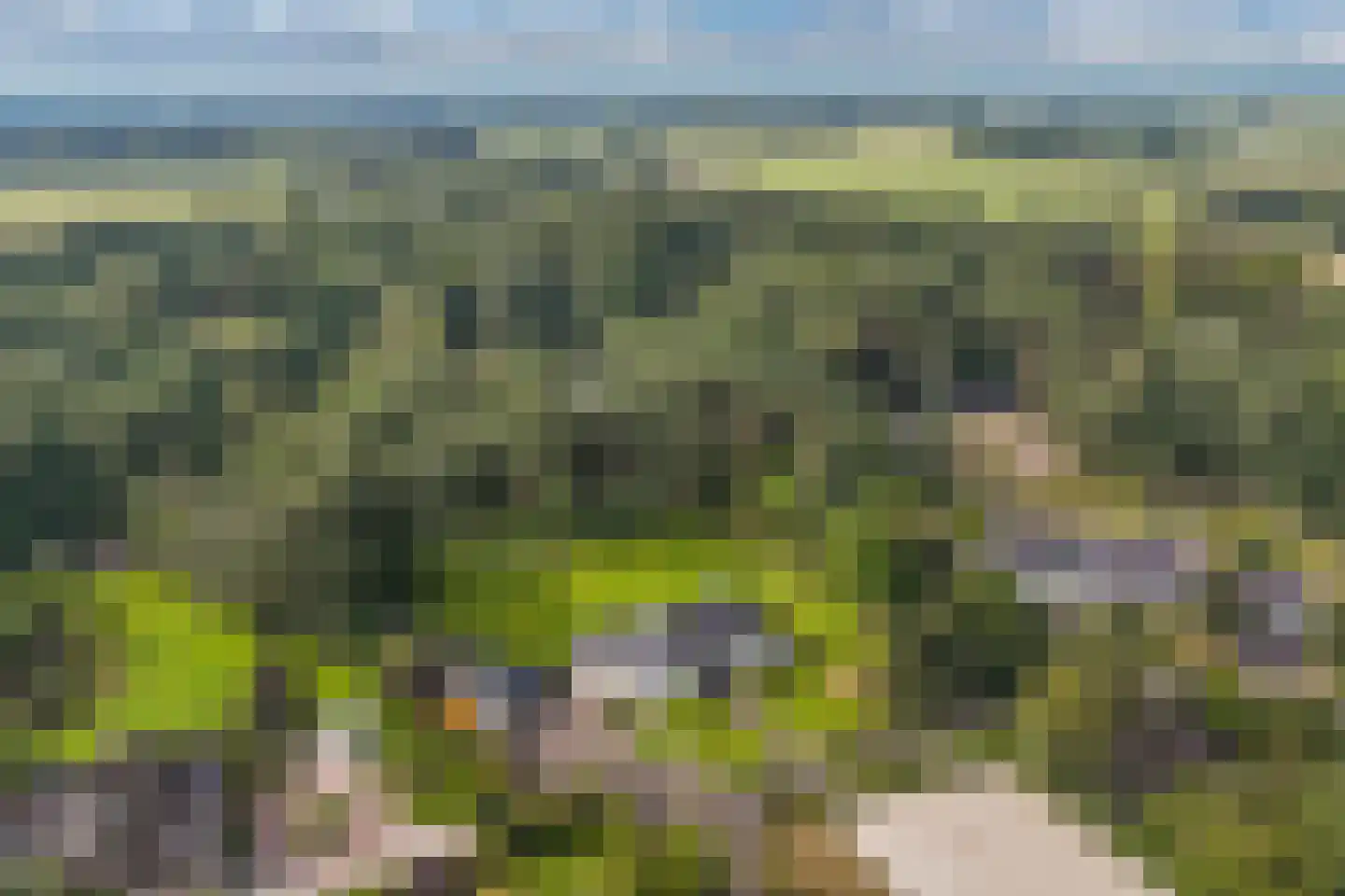 Luttenbergerweg 15 b Luttenberg thumbnail 8