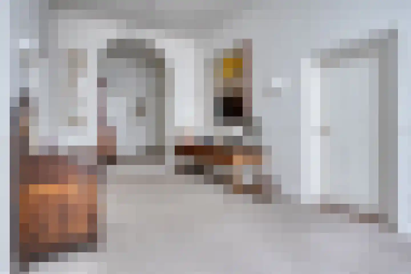 Lutterstraat 21 Losser thumbnail 25