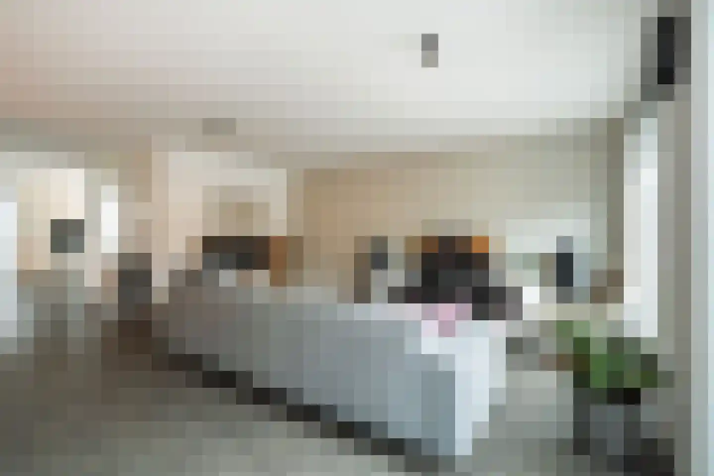 Lutterstraat 21 Losser thumbnail 30
