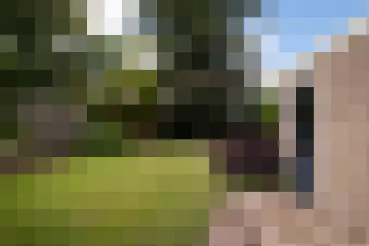 Lutterstraat 21 Losser thumbnail 34