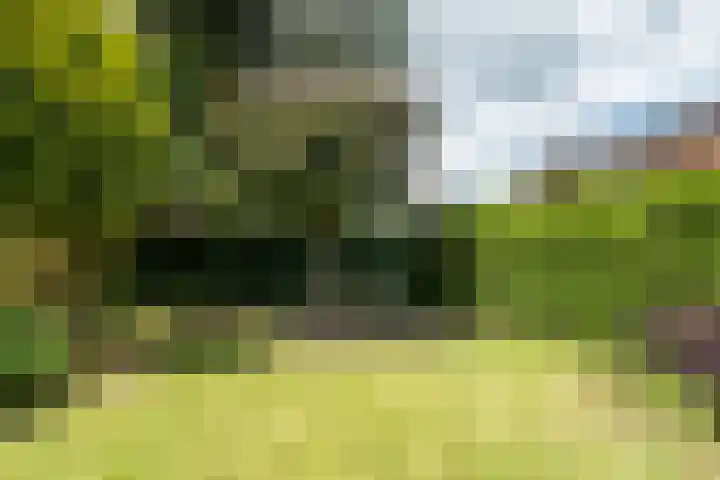 Lutterstraat 21 Losser thumbnail 35