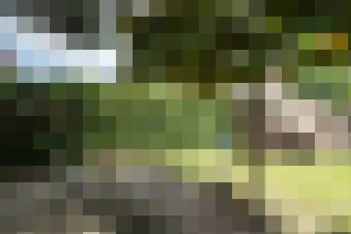 Lutterstraat 21 Losser thumbnail 36
