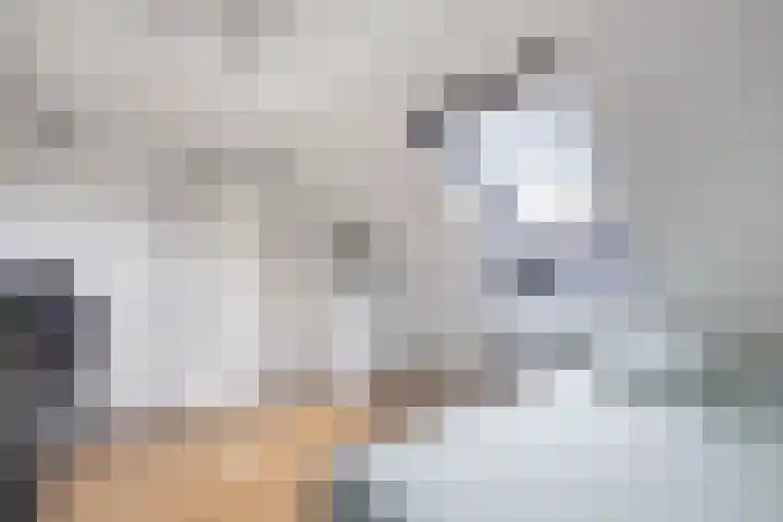 Lutterstraat 21 Losser thumbnail 37