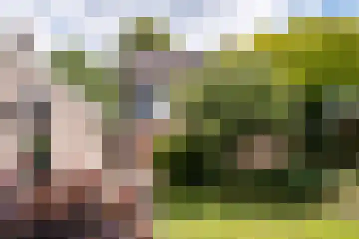 Lutterstraat 21 Losser thumbnail 37