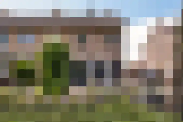 Lutterstraat 21 Losser thumbnail 43