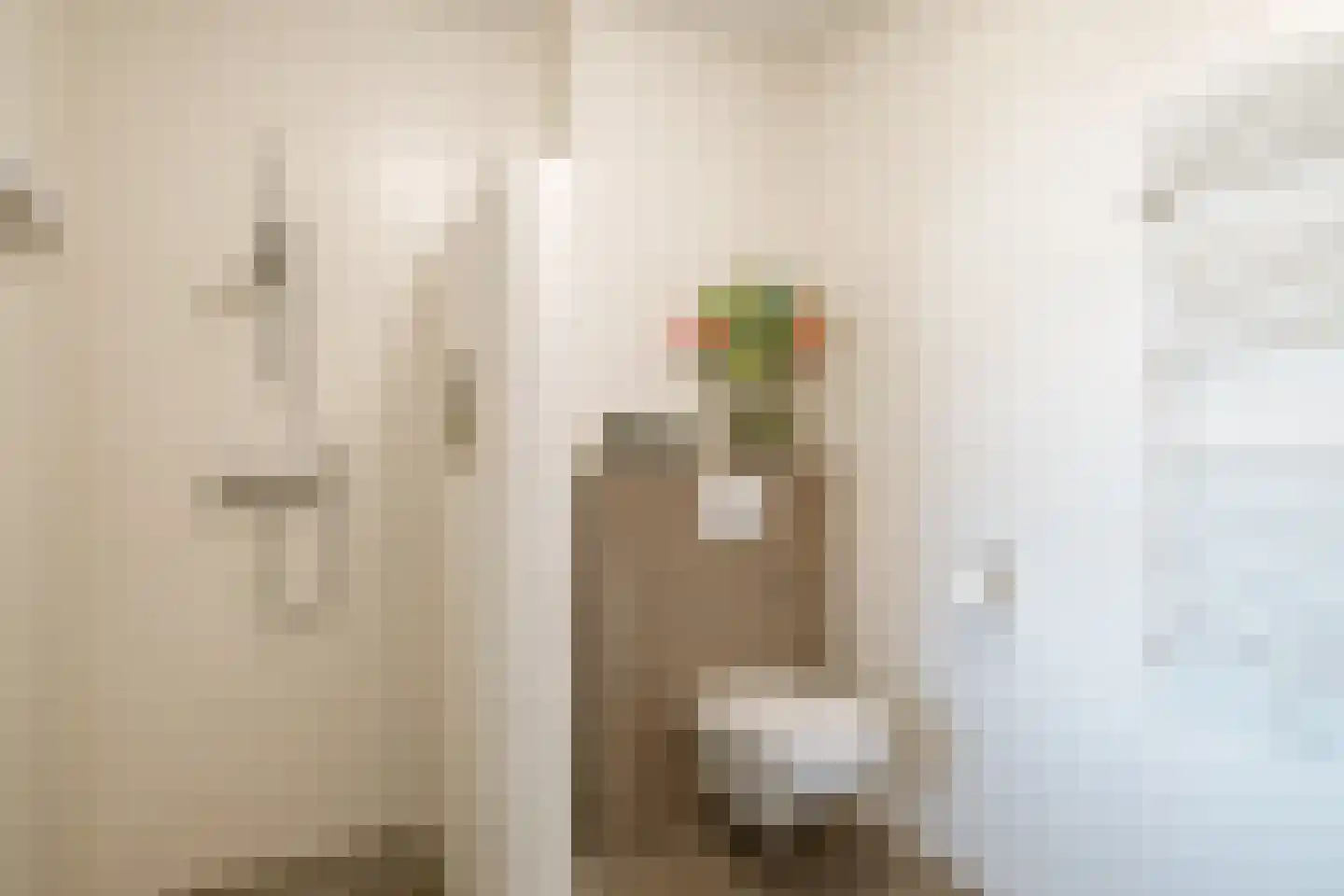 Lutterstraat 5 B Losser thumbnail 23