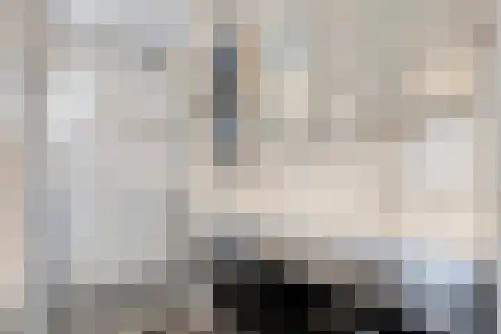Lutterstraat 57 Losser thumbnail 36