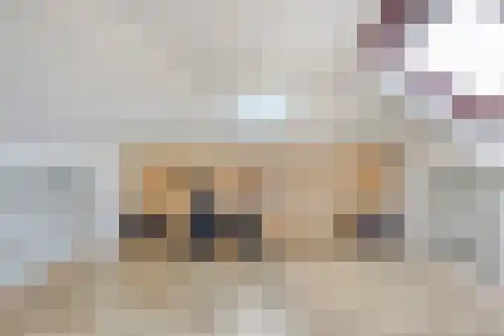 Lutterstraat 57 Losser thumbnail 38