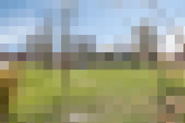 Lutterstraat 57 Losser thumbnail 46