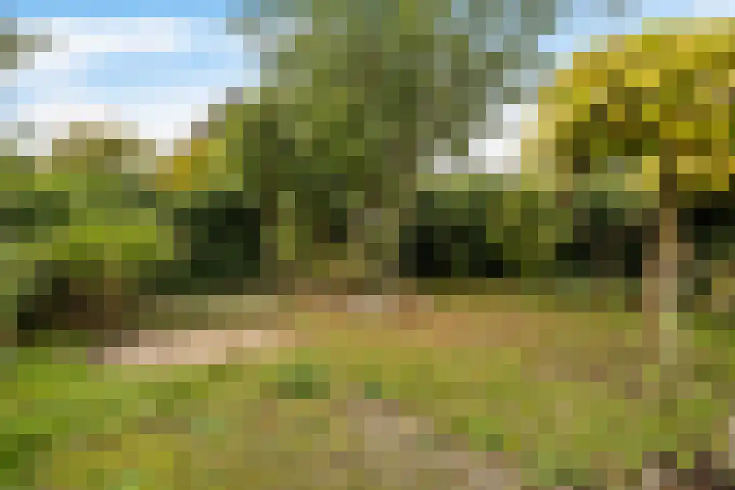 Lutterstraat 69 Losser thumbnail 33