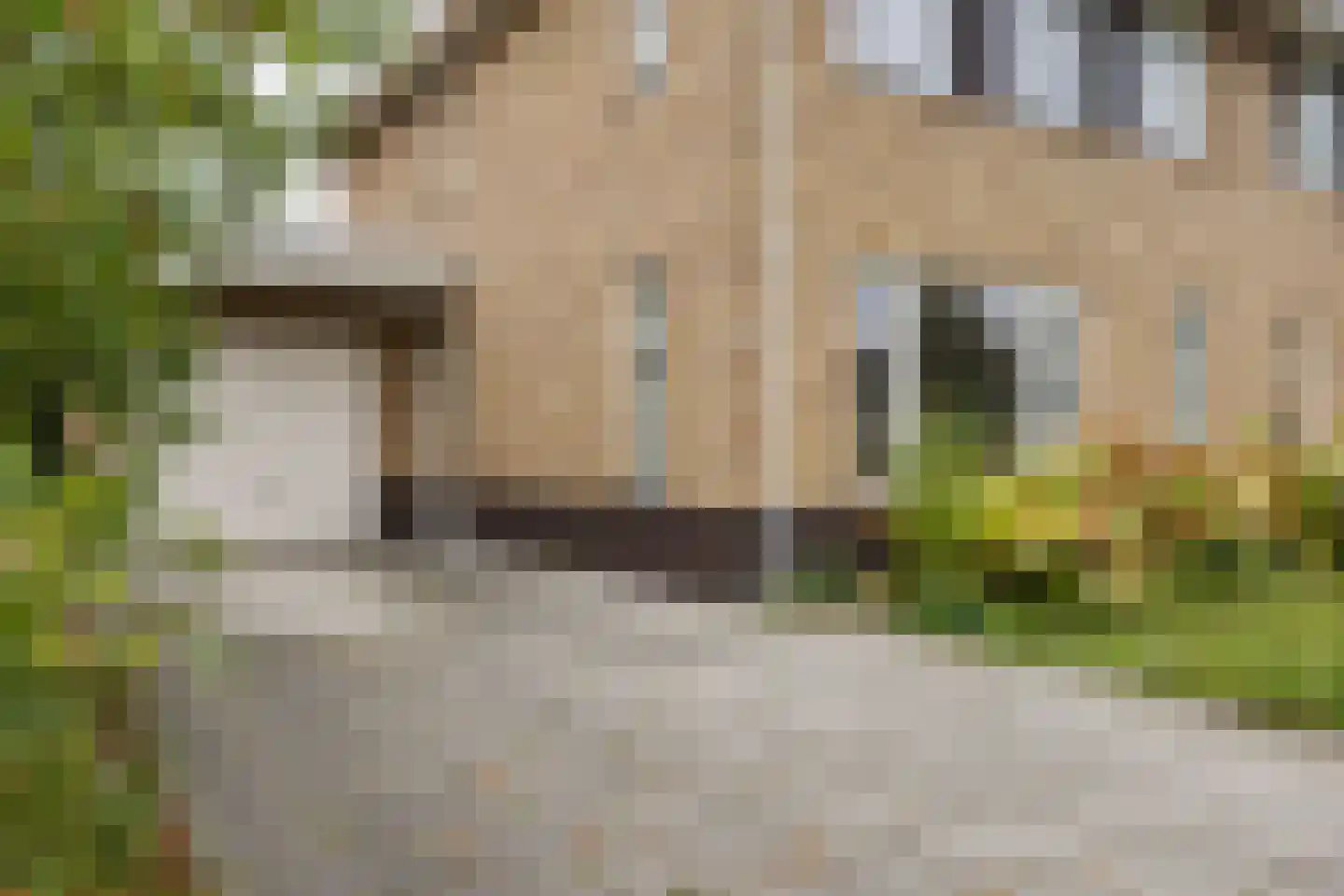 Lutterstraat 69 Losser thumbnail 34