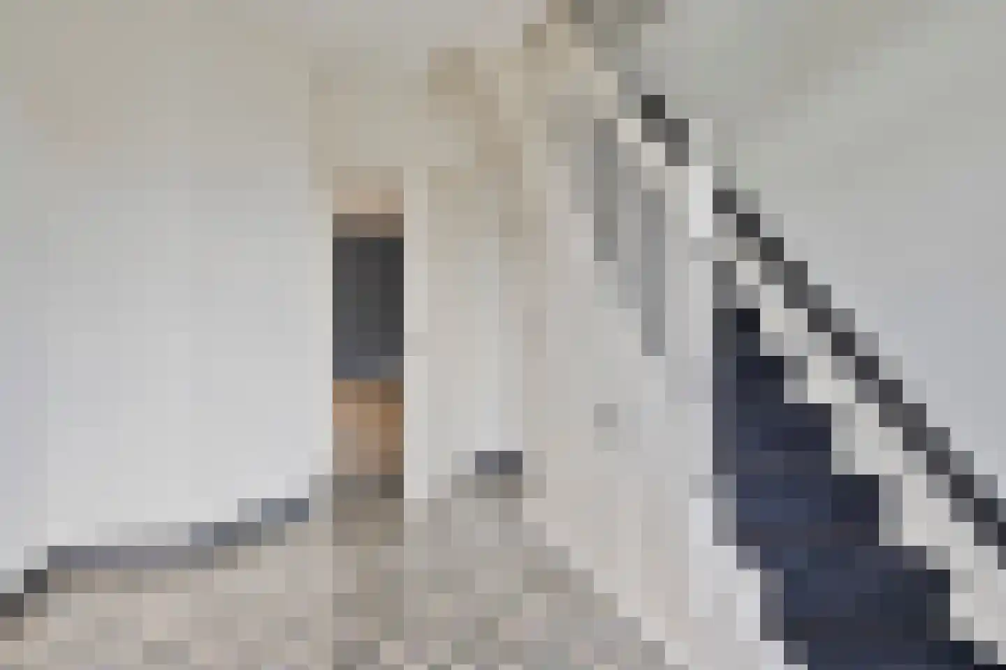 Lutterstraat 77 Losser thumbnail 5