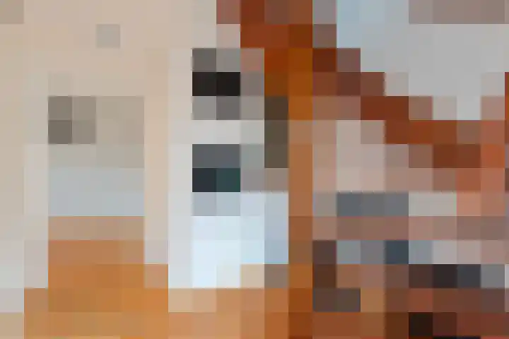 Lutterveldweg 15 Schuinesloot thumbnail 11