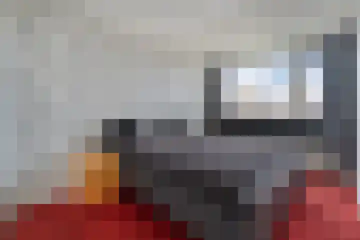 Lutterveldweg 15 Schuinesloot thumbnail 26