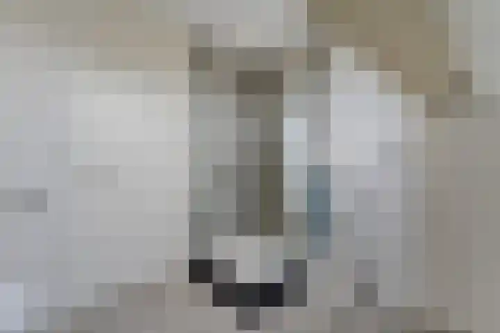 Lutterveldweg 15 Schuinesloot thumbnail 33