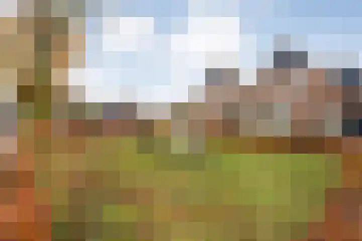 Lutterveldweg 15 Schuinesloot thumbnail 4