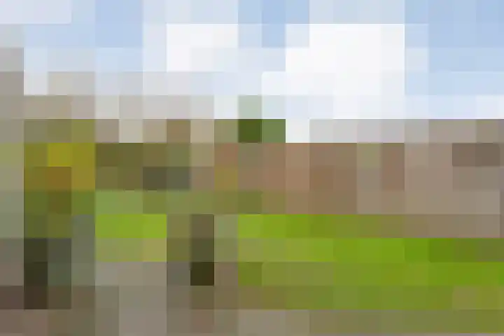 Lutterveldweg 15 Schuinesloot thumbnail 46