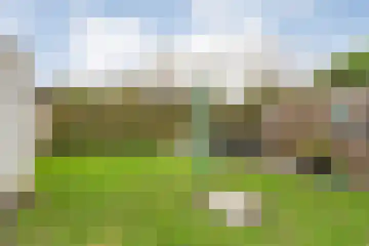 Lutterveldweg 15 Schuinesloot thumbnail 47