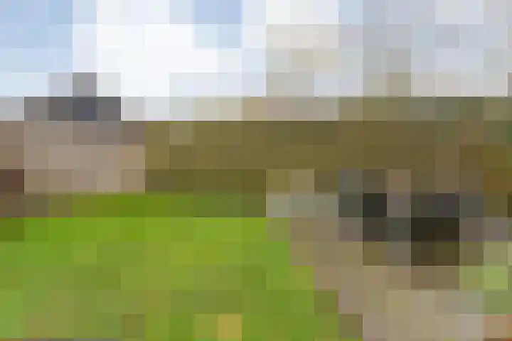Lutterveldweg 15 Schuinesloot thumbnail 49