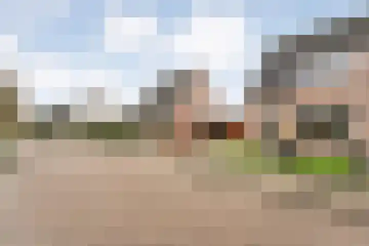 Lutterveldweg 15 Schuinesloot thumbnail 5