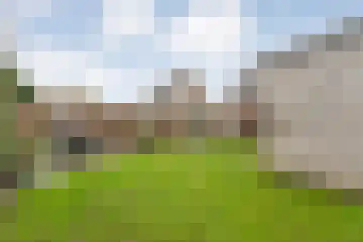 Lutterveldweg 15 Schuinesloot thumbnail 50
