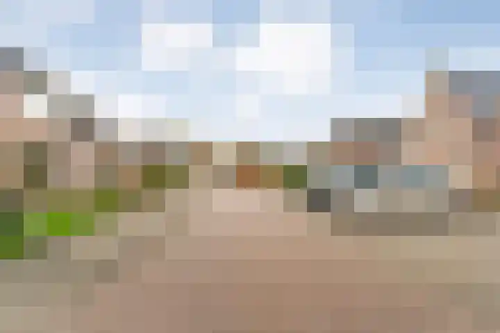 Lutterveldweg 15 Schuinesloot thumbnail 6