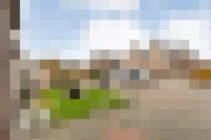 Lutterveldweg 15 Schuinesloot thumbnail 8