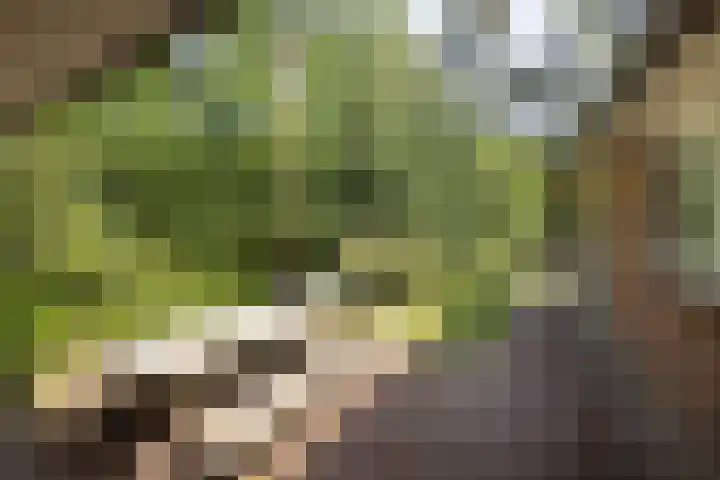 Lutterzandweg 12 B de Lutte thumbnail 23