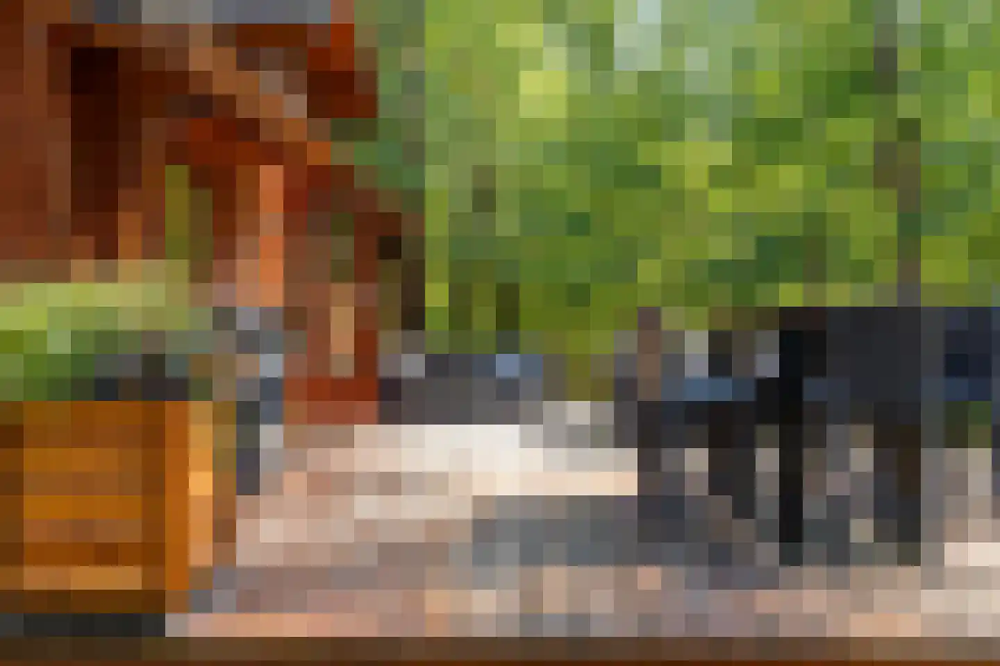 Lutterzandweg 12 T de Lutte thumbnail 17