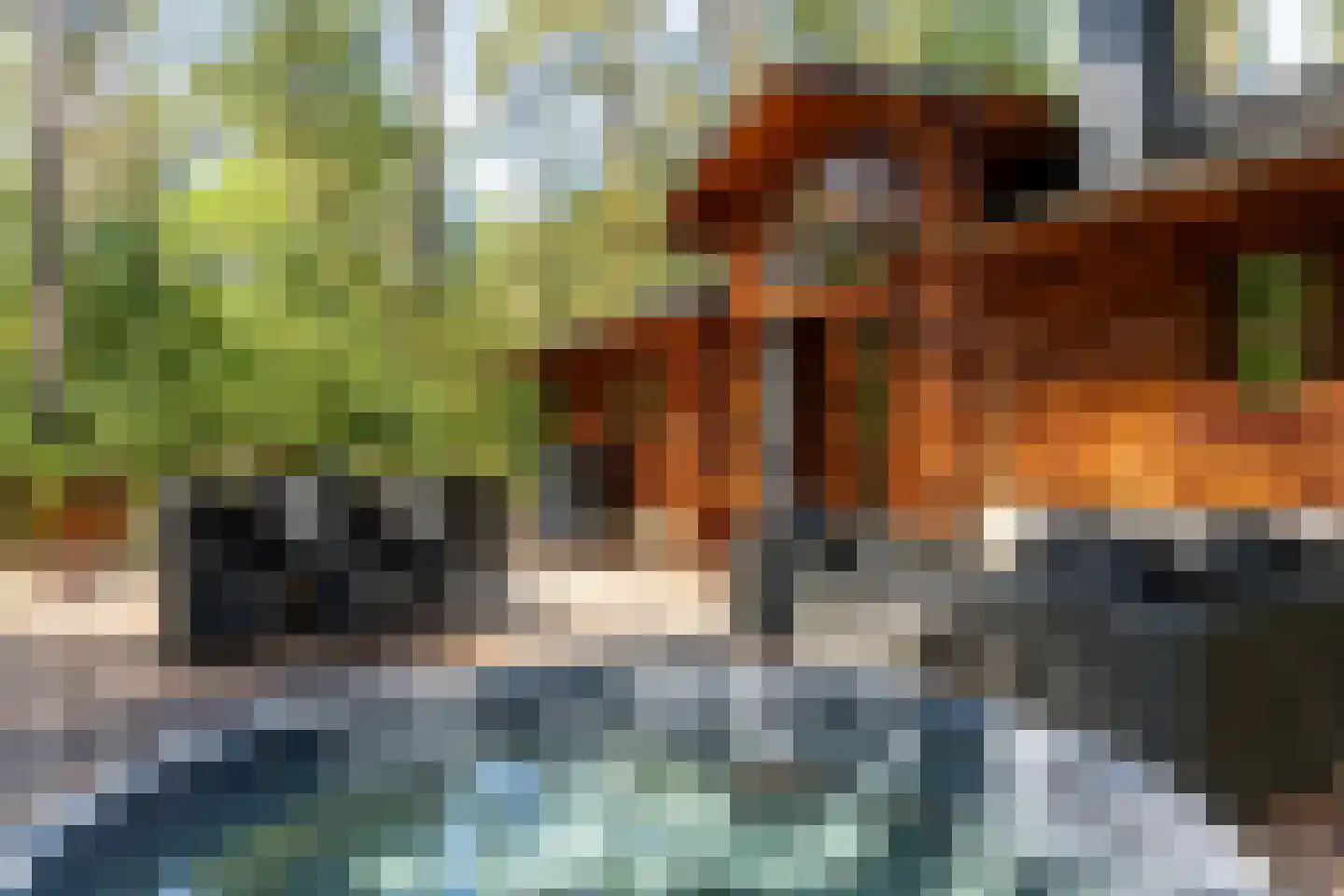 Lutterzandweg 12 T de Lutte thumbnail 19