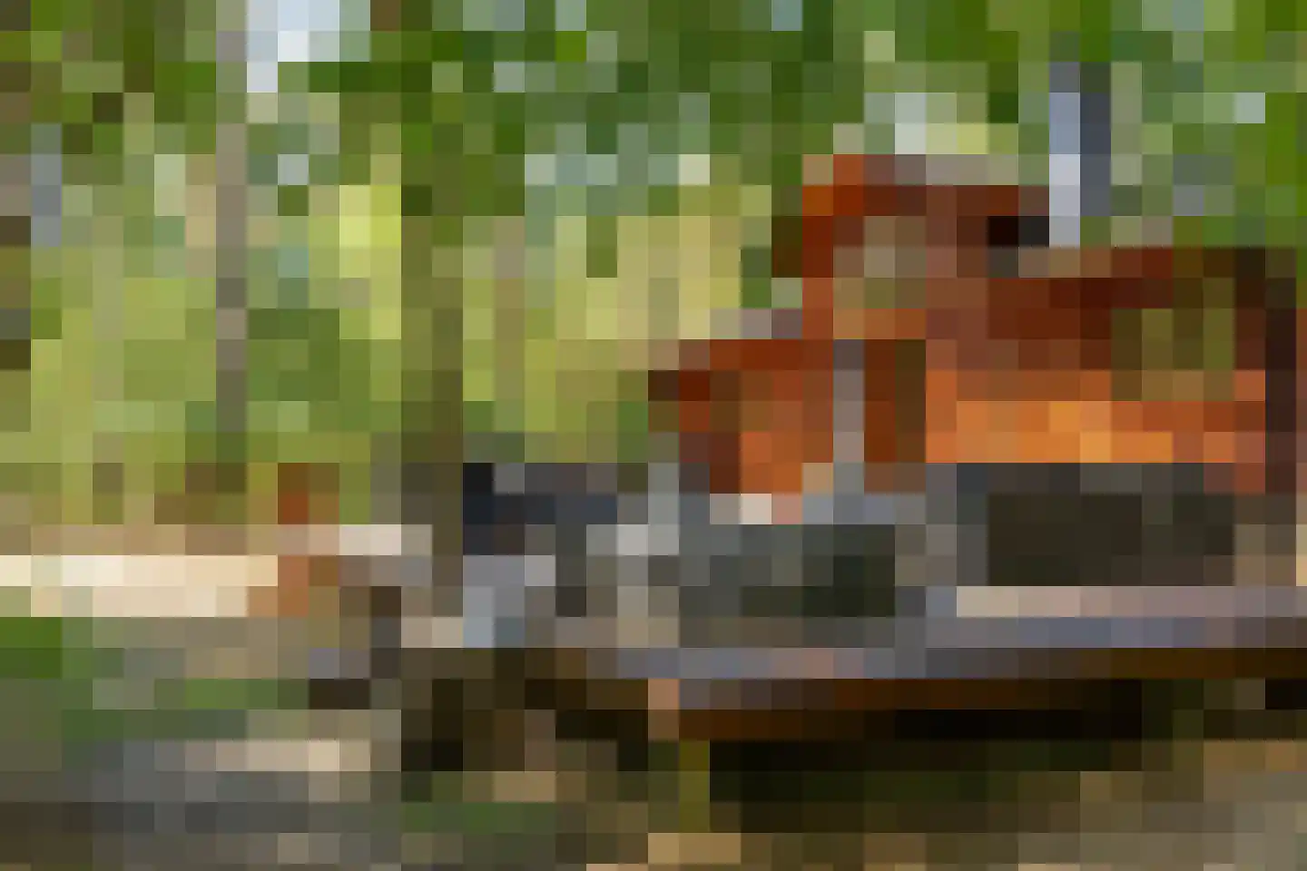 Lutterzandweg 12 T de Lutte thumbnail 22