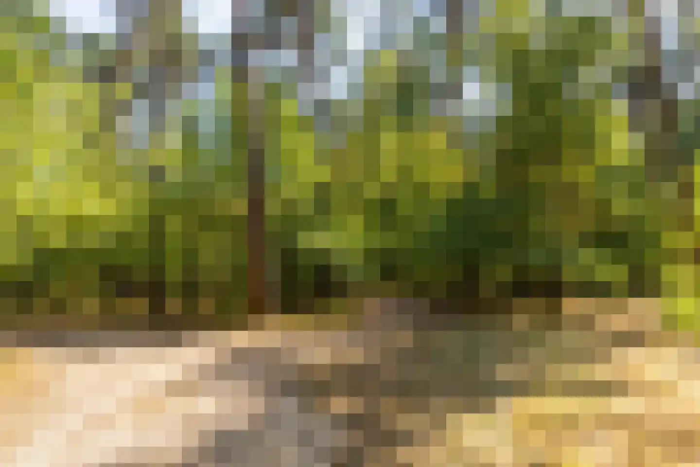 Lutterzandweg 12 T de Lutte thumbnail 24