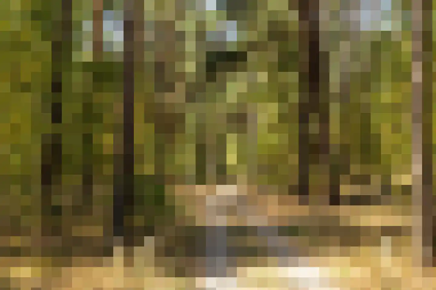 Lutterzandweg 12 T de Lutte thumbnail 25