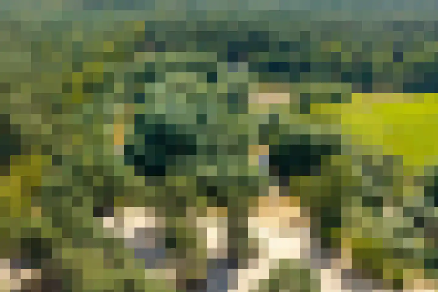 Lutterzandweg 12 T de Lutte thumbnail 26