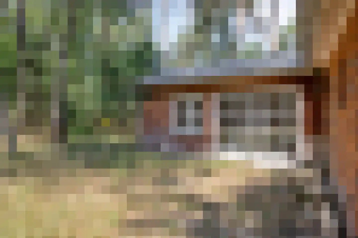 Lutterzandweg 14 B de Lutte thumbnail 18