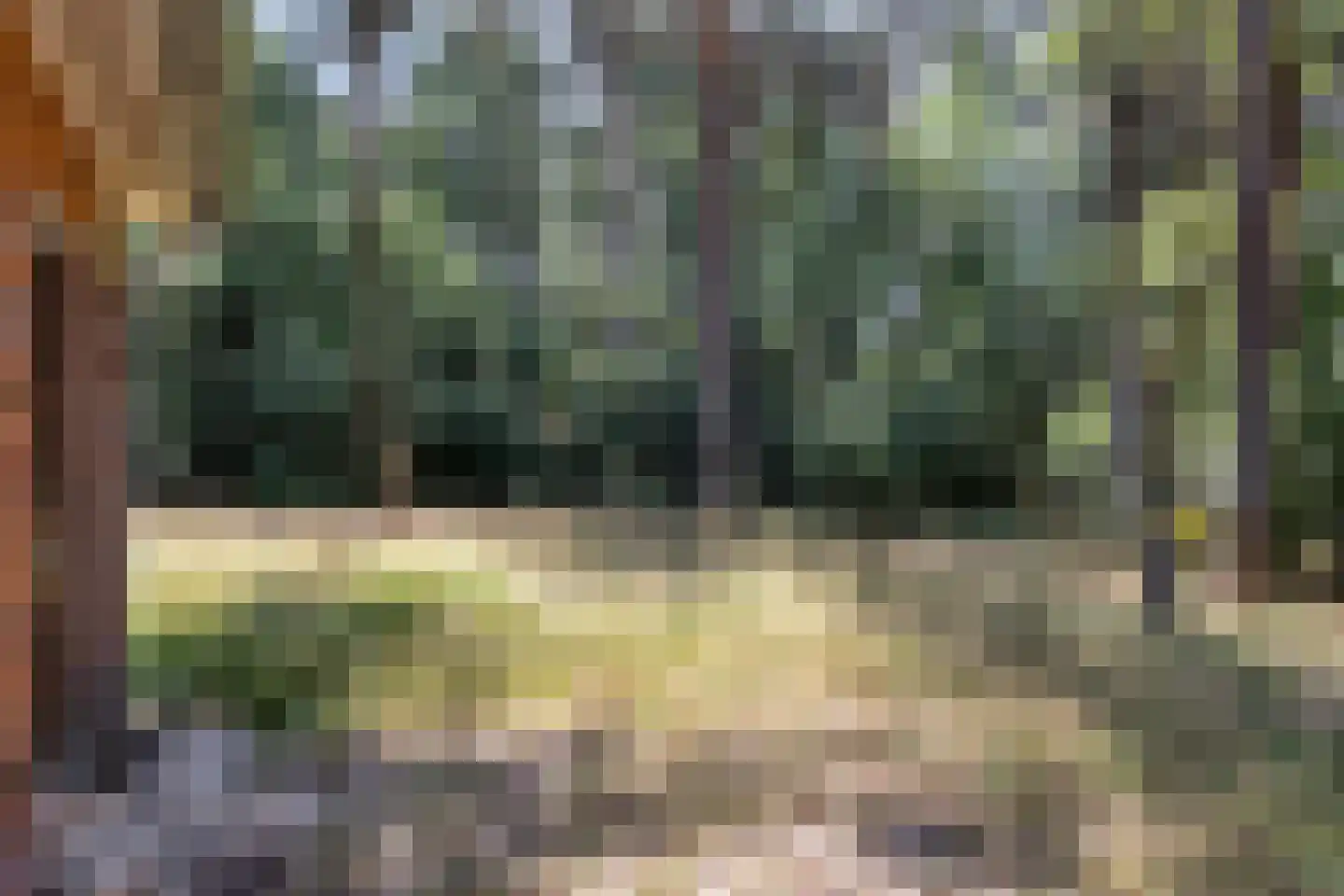 Lutterzandweg 14 B de Lutte thumbnail 19