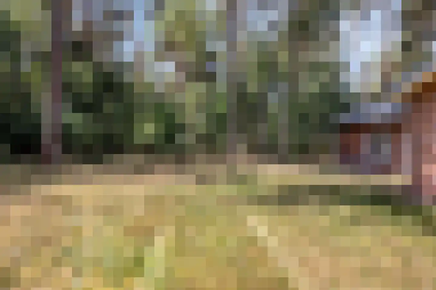 Lutterzandweg 14 B de Lutte thumbnail 20