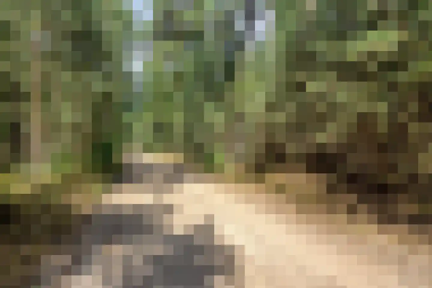 Lutterzandweg 14 B de Lutte thumbnail 24