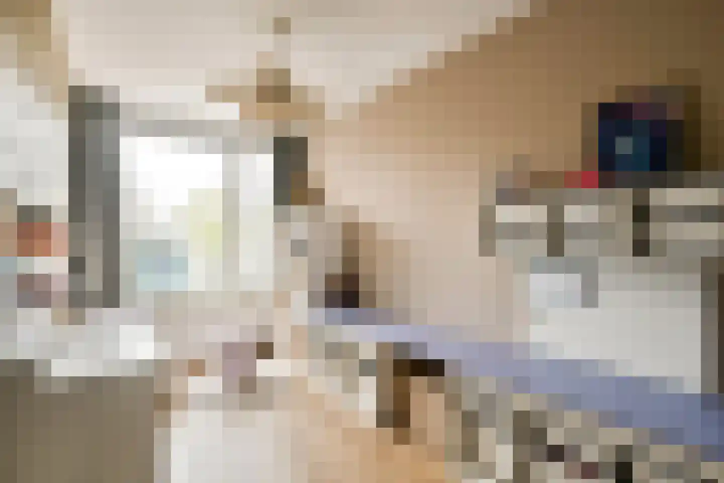 Luttickduin 112 Amstelveen thumbnail 15