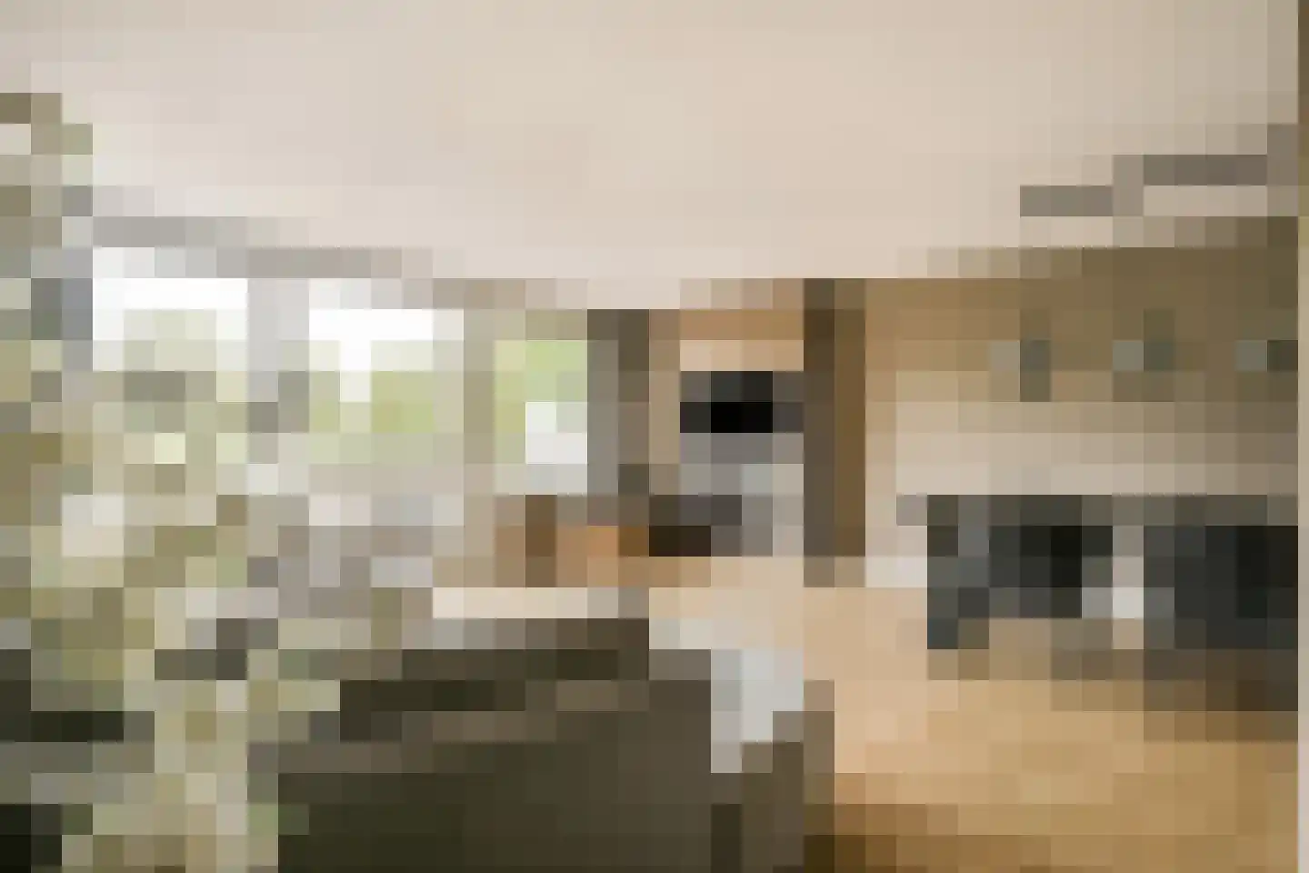 Luttickduin 112 Amstelveen thumbnail 4