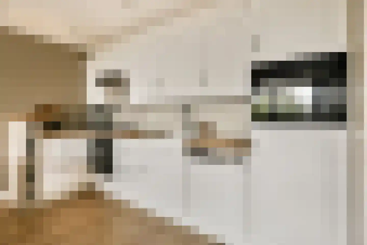 Luttickduin 112 Amstelveen thumbnail 7