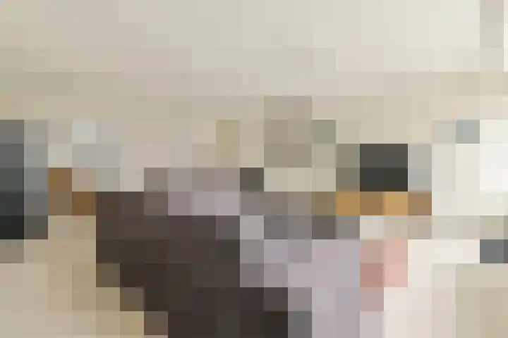 Luttickduin 114 Amstelveen thumbnail 11