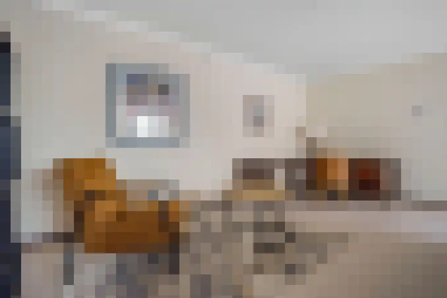 Luttickduin 114 Amstelveen thumbnail 16